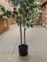 Ver imagem 6 de Árvore Artificial Ficus Planta Realista para Decoração 150cm