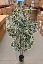 Ver imagem 4 de Árvore Artificial Ficus Planta Realista para Decoração 150cm