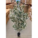 Ver imagem 4 de Árvore Artificial Ficus Planta Realista para Decoração 150cm