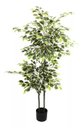 Ver imagem 2 de Árvore Artificial Ficus Planta Realista para Decoração 150cm