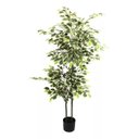 Ver imagem 2 de Árvore Artificial Ficus Planta Realista para Decoração 150cm