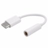 Adaptador Type C para Fone de Ouvido P2 - 1