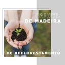 Ver imagem 7 de Painel Ripado Milla Nogal 230cm Carraro