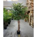 Ver imagem 5 de Árvore Artificial para Sala Planta Ficus Lyrata com 180cm, Planta Decorativa para Casa e Eventos.