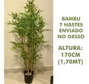 Ver imagem 3 de Árvore Artificial Bambu 7 Hastes 170cm Permanente No Gesso