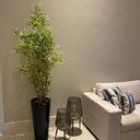 Ver imagem 1 de Árvore Artificial Bambu 7 Hastes 170cm Permanente No Gesso
