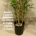 Ver imagem 4 de Árvore Artificial Bambu 7 Hastes 170cm Permanente No Gesso