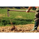 Ver imagem 3 de Enxada Larga 1.5 Tramontina em Aço sem Cabo