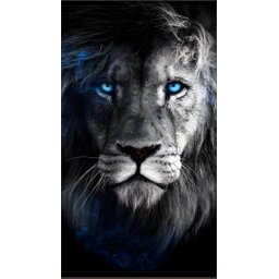 Quadro Decorativo Grande para Sala Quarto Leão Azul:preto - 4