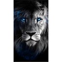 Ver imagem 4 de Quadro Decorativo Grande para Sala Quarto Leão Azul:preto