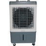 Climatizador Ar Ventisol Clir35 Pro 35 Litros 150 - 14203 - 1