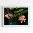 Ver imagem 1 de Quadro Flor de Lótus Rosa Natureza Moldura Branca 60x40cm