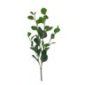 Galho Folhagem Ruscus - Grande 90cm - 1