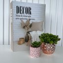 Ver imagem 2 de Decoração sala livro caixa fake + vaso cachepô + mini vaso