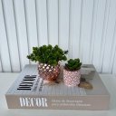 Ver imagem 4 de Decoração sala livro caixa fake + vaso cachepô + mini vaso