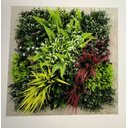Ver imagem 1 de Paineil Planta Jardim Artificial Vert. 50cm X 50cm - G717223