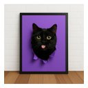 Ver imagem 1 de Quadro Gato Preto Fofo com Fundo Roxo 33x24cm com Vidro Preto
