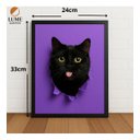 Ver imagem 2 de Quadro Gato Preto Fofo com Fundo Roxo 33x24cm com Vidro Preto
