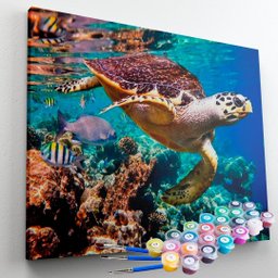 Kit Pintura Terapêutica - Tartaruga Maravilhosa - 1