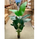 Ver imagem 6 de Bananeira Artificial para Sala Planta Decorativa com 1.60m