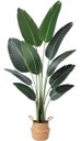 Ver imagem 2 de Bananeira Artificial para Sala Planta Decorativa com 1.60m