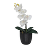 Arranjo com 1 Orquídea Artificial Branca Vaso Cerâmica Preto - 1