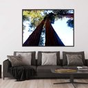 Ver imagem 1 de Quadro Canvas Tronco da Árvore 90x1,20