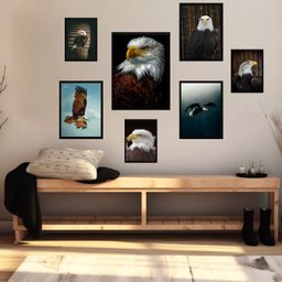 Kit 7 Quadors Decorativos Águia:moldura Branca - 1