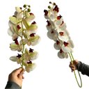 Ver imagem 3 de Kit 7 Orquídeas Artificiais Realistas 110cm Branco Premium para Vasos Decorativos