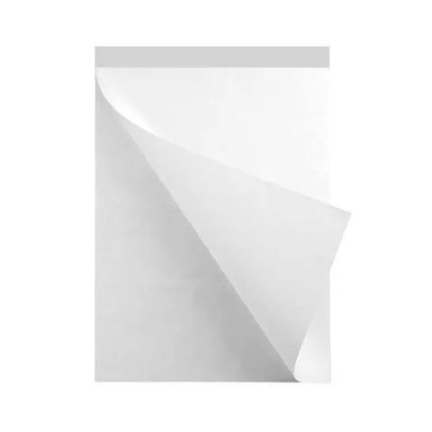 CONJ 2 BLOCOS Papel Para Flip Chart Microserrilhado 63x80 cm 63 Gramas 50 Folhas São Domingos 11536