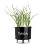 Vaso Autoirrigável para Plantas Gourmet N3 Raíz com Frase Cebolinha - 1