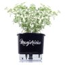 Vaso Autoirrigável para Plantas Gourmet N3 Raíz com Frase Cebolinha - 5