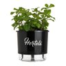 Vaso Autoirrigável para Plantas Gourmet N3 Raíz com Frase Cebolinha - 9