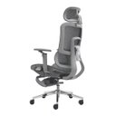 Ver imagem 5 de Cadeira Ergonômica Office Mesh Premium Reclinável Braço 5d Cinza