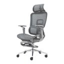 Ver imagem 1 de Cadeira Ergonômica Office Mesh Premium Reclinável Braço 5d Cinza