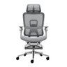 Cadeira Ergonômica Office Mesh Premium Reclinável Braço 5d Cinza - 2