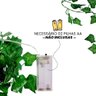 Fio de Led Folhagem Hera Trepadeira com Luzinhas Pisca Pisca - 2