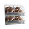 Kit 2 Gaiola Codorna Poedeira Viveiro Bateria 40 Aves Comuns - 1
