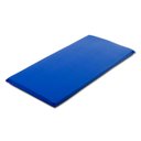 Ver imagem 1 de Colchonete em Napa com Espuma 90x43x4cm Azul Royal