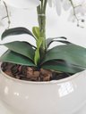 Ver imagem 5 de Arranjo De Mesa Sala 4 orquídeas Artificial Brancas Com Vaso