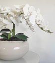 Ver imagem 4 de Arranjo De Mesa Sala 4 orquídeas Artificial Brancas Com Vaso
