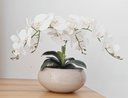 Ver imagem 3 de Arranjo De Mesa Sala 4 orquídeas Artificial Brancas Com Vaso
