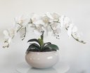 Ver imagem 2 de Arranjo De Mesa Sala 4 orquídeas Artificial Brancas Com Vaso