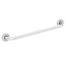 Alça de Apoio Banheiro Inox Barra 50cm Idoso Deficiente Cadeirante Acessibilidade Resistente Box Seg - 9