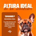 Ver imagem 5 de Comedouro Elevado Individual Cão Porte P Preto