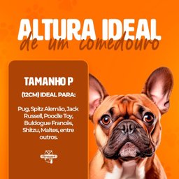 Comedouro Elevado Individual Cão Porte P Preto - 5