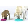 Comedouro Lento Interativo para Cães Fun Feeder Azul Pequeno - 3