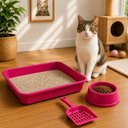 Ver imagem 4 de Kit Higienico Bandeja para Gatos Filhotes Caixa Areia Rosa