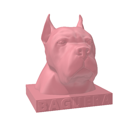 Cane Corso Personalizado Decoração 3d:rosa