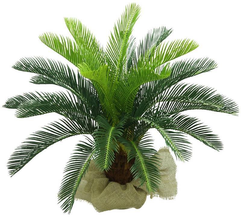 Planta Artificial Cycas Toque Real Realista 80cm Suculentas